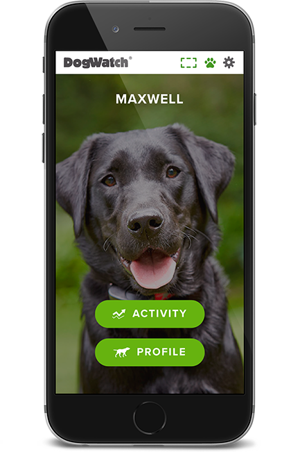 Metro-East DogWatch, Glen Carbon, Illinois | SmartFence WebApp Image