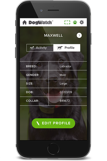 Metro-East DogWatch, Glen Carbon, Illinois | SmartFence WebApp Image