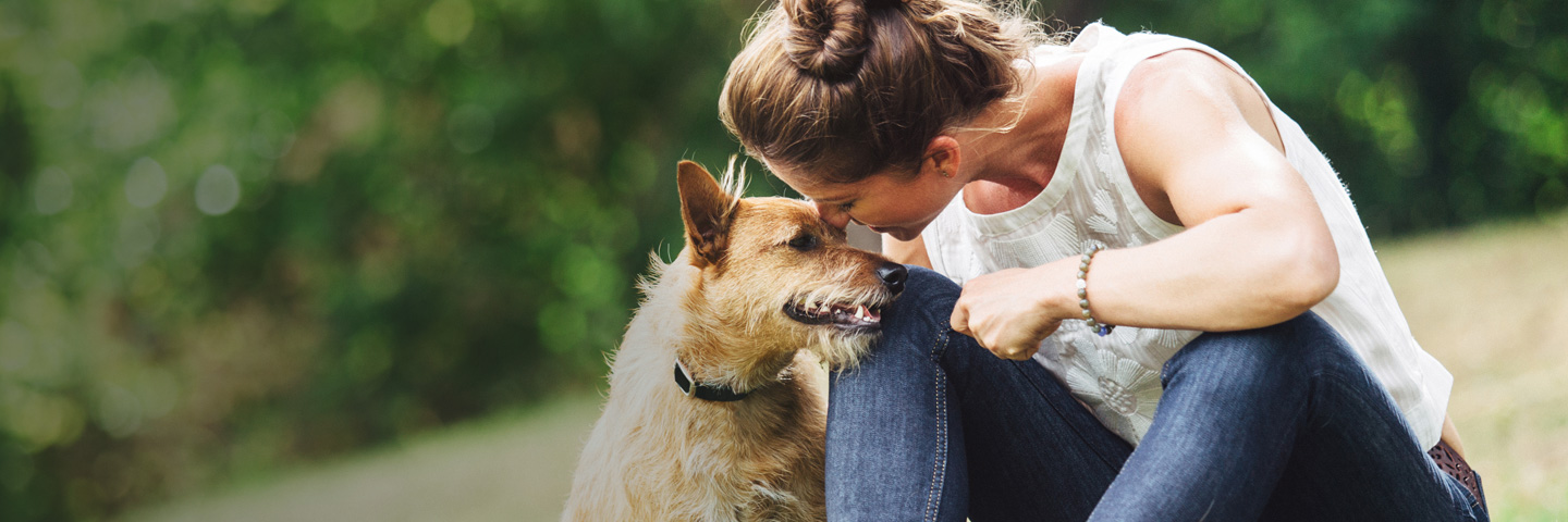 Metro-East DogWatch, Glen Carbon, Illinois | BarkCollar No-Bark Trainer Slider Image